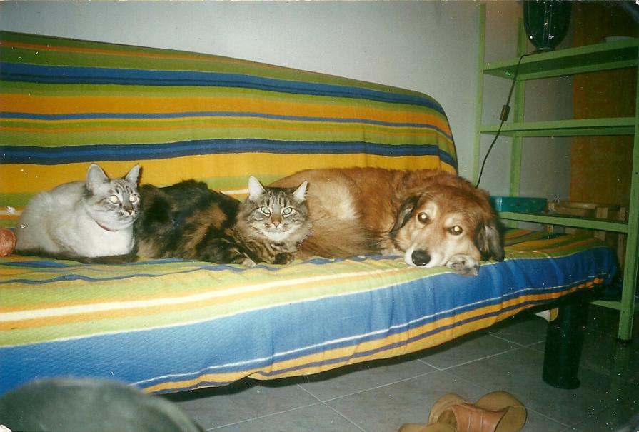 ORA LASCIA CHE TI SVELI UN SEGRETO... ORA LASCIA CHE TI SVELI UN SEGRETO...