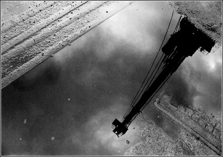 specchi di una vita silente