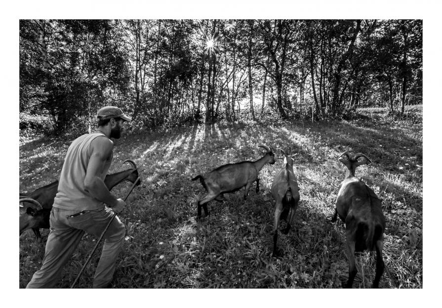 Immagine - Tout simplement ... Famille rurale - Al mattino