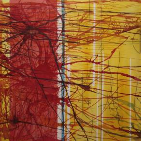 Nº 3 Cartography of the chaos