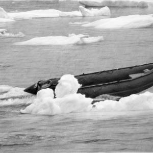 Invisible 11 Invisible 11