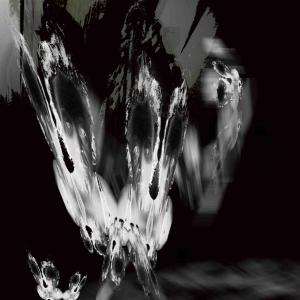 Butterfly 3 Butterfly 3