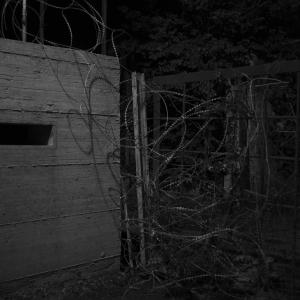 Senza titolo dalla serie 