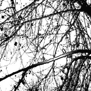 Cicatrici nel cielo8, SC-art Cicatrici nel cielo8, SC-art