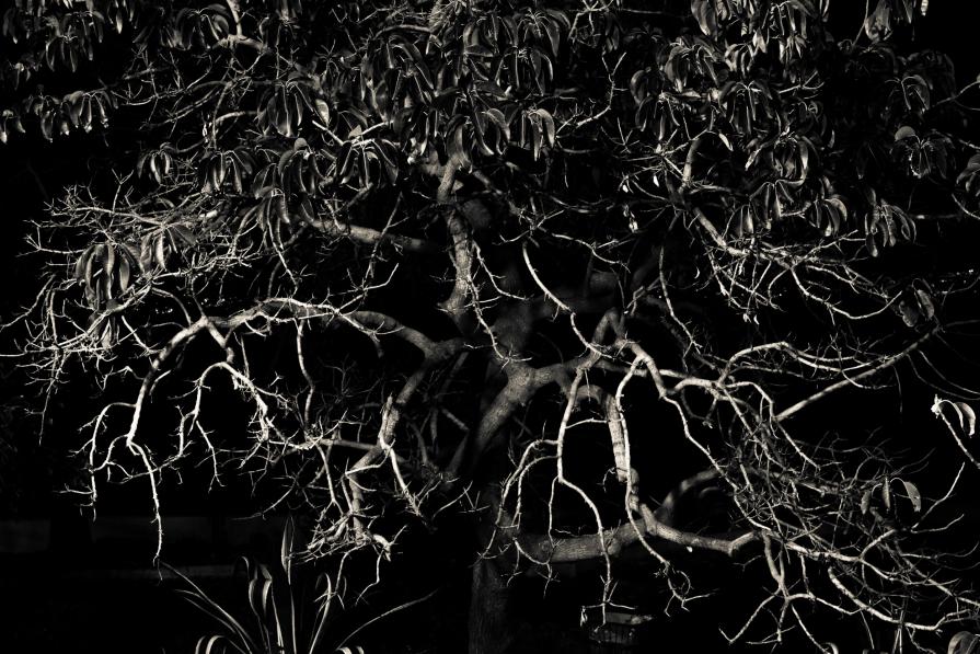 Passione e raziocinio.