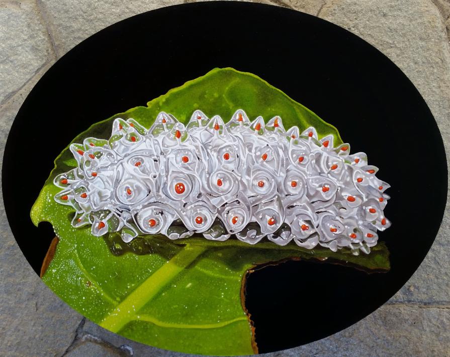 "JEWEL CATERPILLAR"