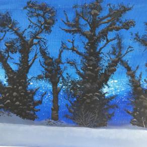 Cesena, svegliarsi con la neve