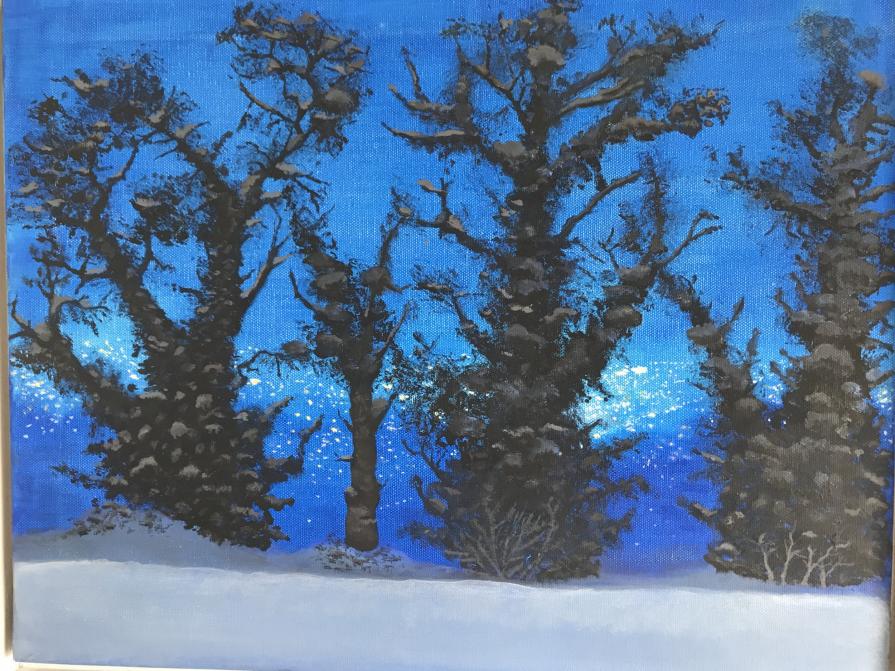 Cesena, svegliarsi con la neve