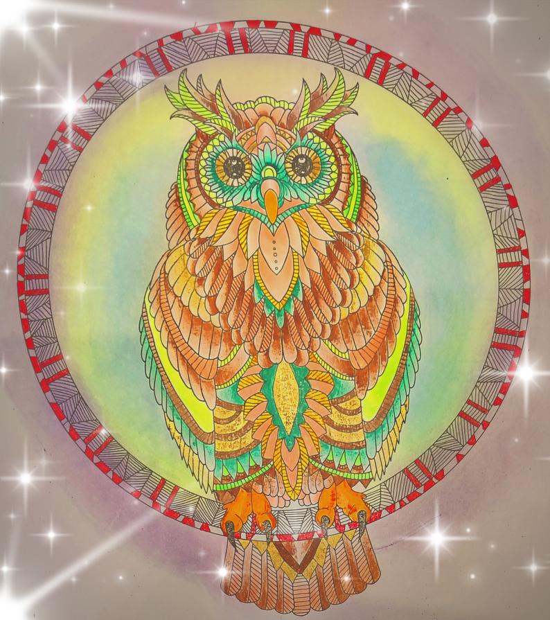 Il gufo ha le stelle negli occhi...!!!