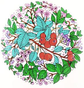         ....Il Respiro della Natura !!!! ....