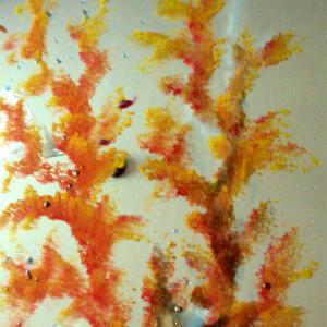 PARADISE BAR inaugurazione.