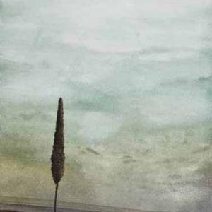 Taste Tuscany Taste Tuscany