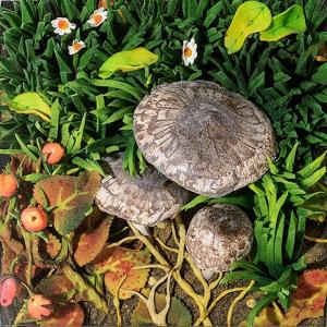 ASTI CONTEMPORANEA. Collezioni private