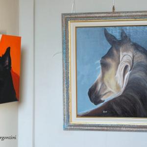 ANIMALS ART A PALAZZO DUCALE