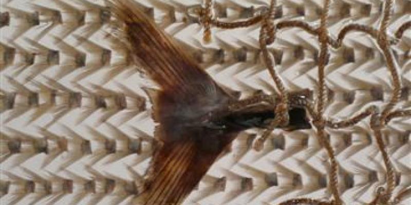 AAM Arte Accessibile Milano