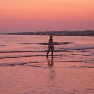 DIARIO DI VIAGGIO - ARTE E AMORE NEL CATALOGO ANTOLOGICO DEL CAV. OMAR SALVAGNO