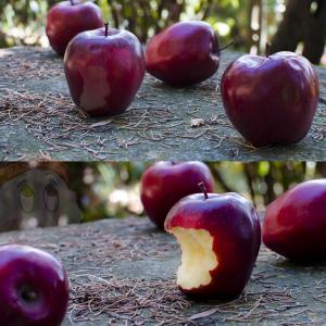 Intervista a Martina Buzio