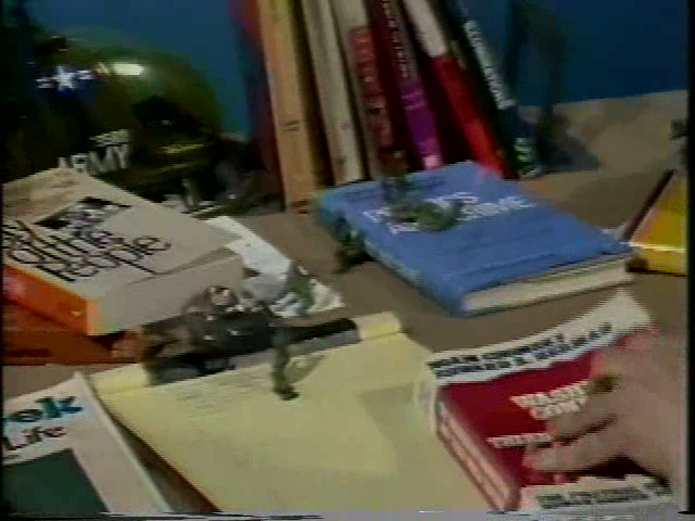 Martha Rosler - A Simple Case for Torture 1983