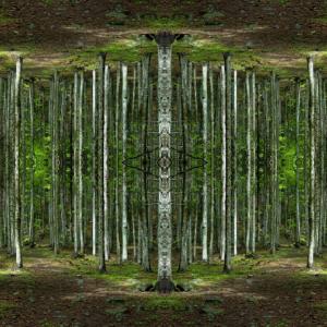  Maria Cristina Spinato - Fotografie 2008 - 2011