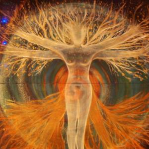 partecipazione televisiva