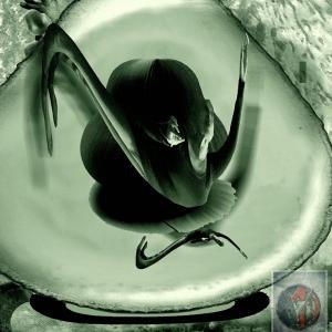 Ventitre01 intervista Suzan Hijab