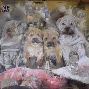 Quattro combina guai