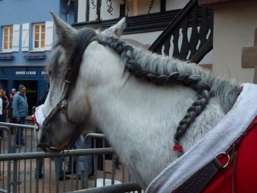 Le petit noeud rouge