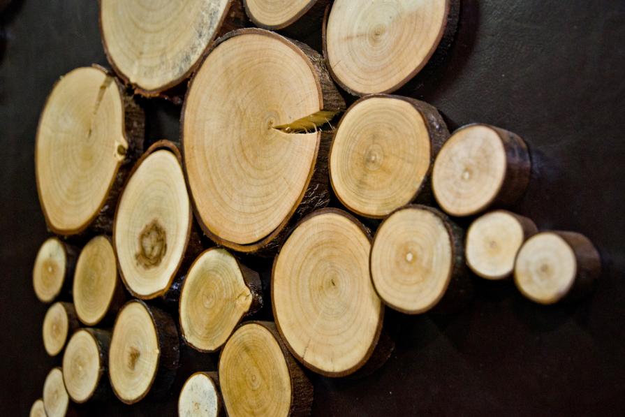 PARTICOLARE DI : FORESTA DALL'ALTO