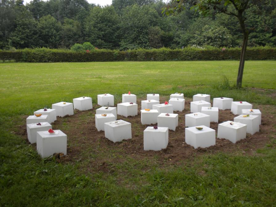 Dalla raccolta alla semina 2 - 2010_foto9 Dalla raccolta alla semina 2 - 2010_foto9