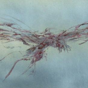 In volo verso il domani...