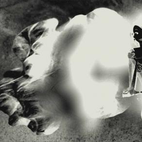 China White Tea,  Tè Bianco Cinese