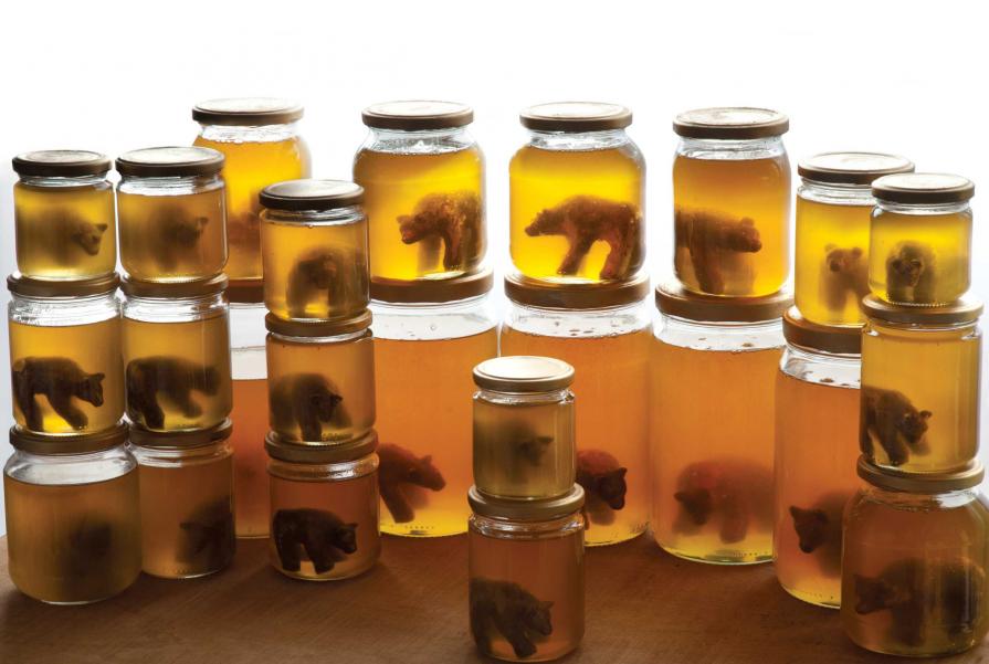 Karhuvoimaa (Strength of bear)