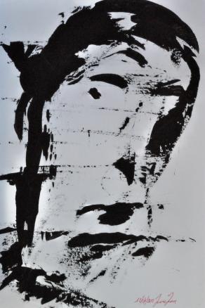 Viso scomposto - face split 