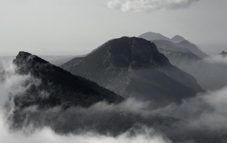 MORE THAN EVER Buffavento 44