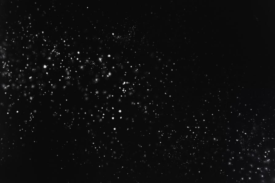 The last summer / II. Travail Spirituel