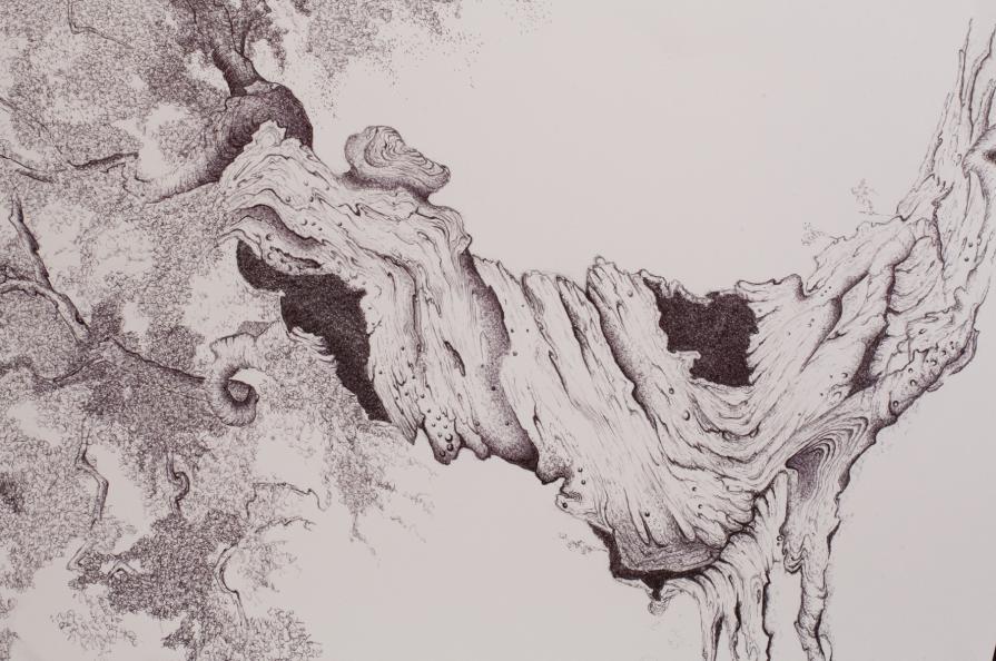 a U L I V O o f R 7 ®