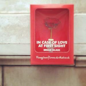 In caso di emergenza...