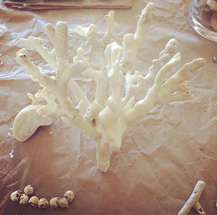 Memento Corallium- bringing the ocean together