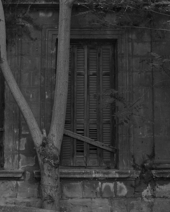 Senza titolo dalla serie 