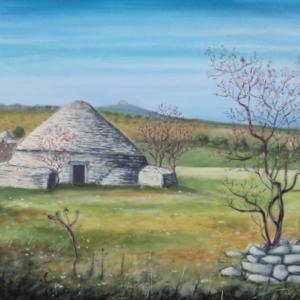 Contrada Sansanello - Corato (ba)