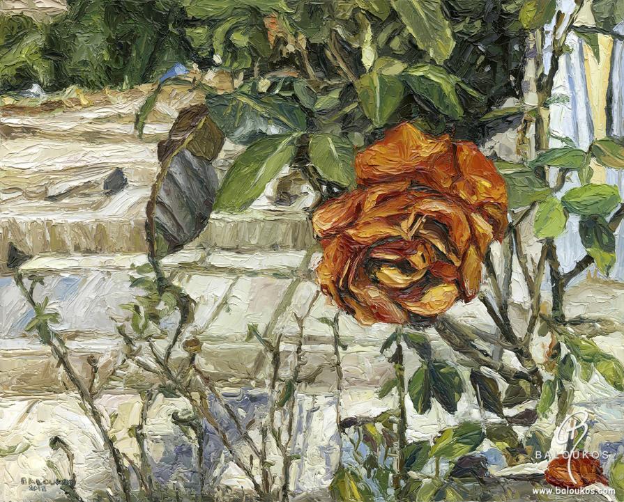 Roses at Kerasia – Mount Athos