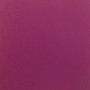 Sonia Costantini. Absolute Color