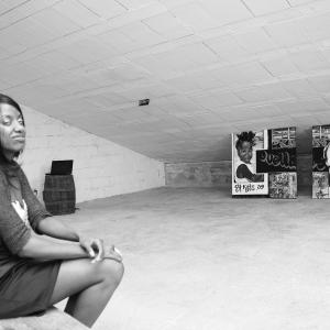 Ginestrelle A.I.R. 2010-2011 presenta l'artista canadese Adrianne Williams 