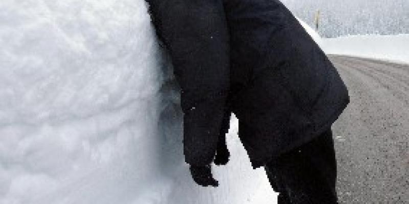 pagine bianche d'autore