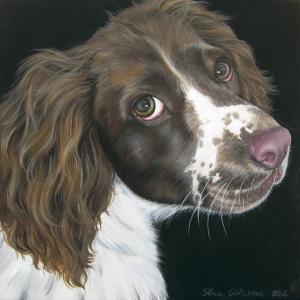 incontro con l'artista