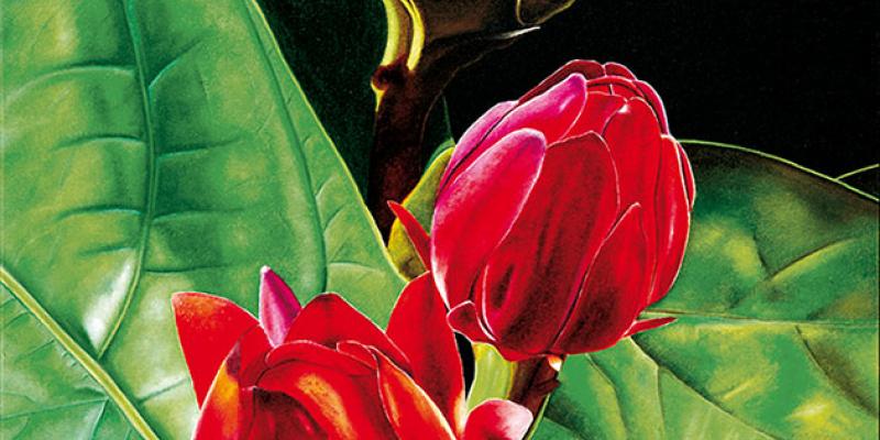 Tommaso Andreocci - "Paintings, sculpures, drawings" Tommaso Andreocci - "Paintings, sculpures, drawings"