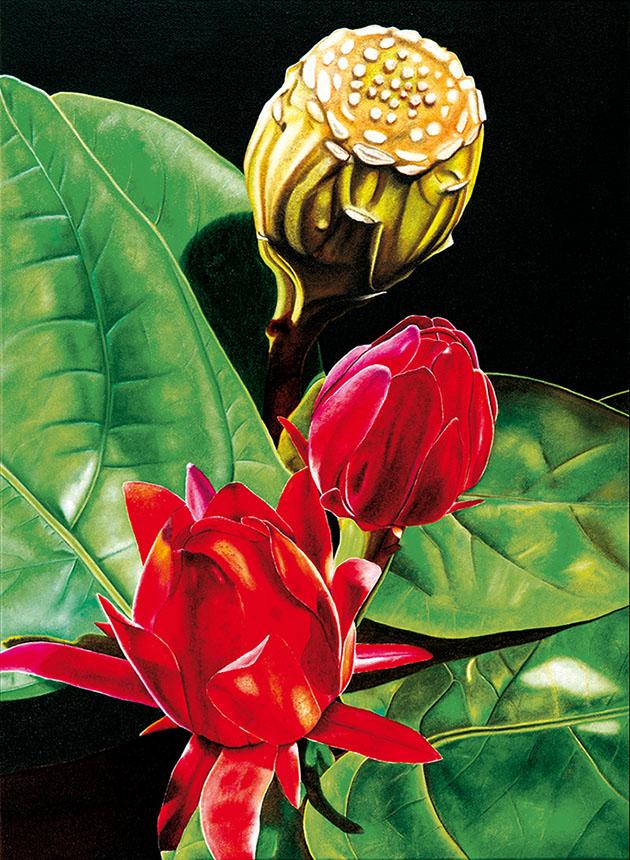 Tommaso Andreocci  - "Paintings, sculpures, drawings"