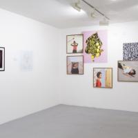 Clicca per Ingrandire