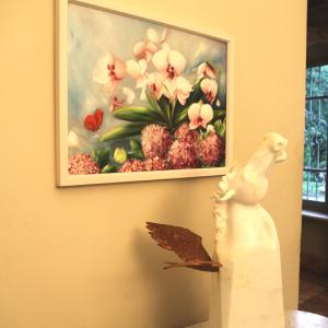 Natura:Luci e Ombre a Modena.