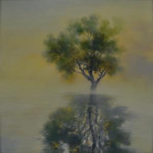 Il silenzio della coscienza